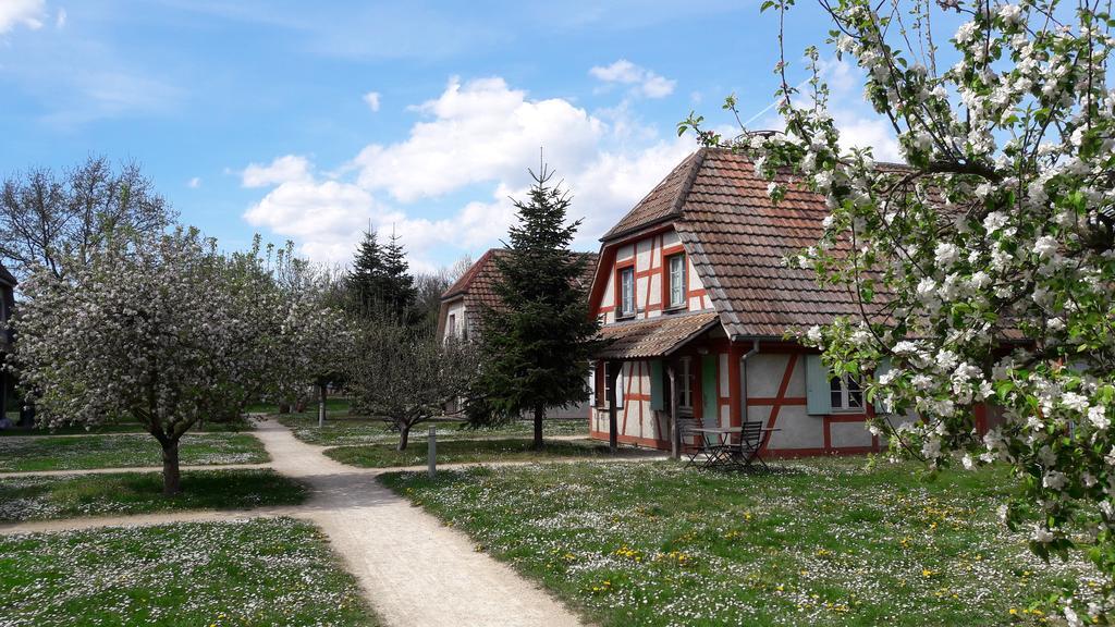 Les Loges De L'Ecomusee D'Alsace 웅게르스하임 외부 사진
