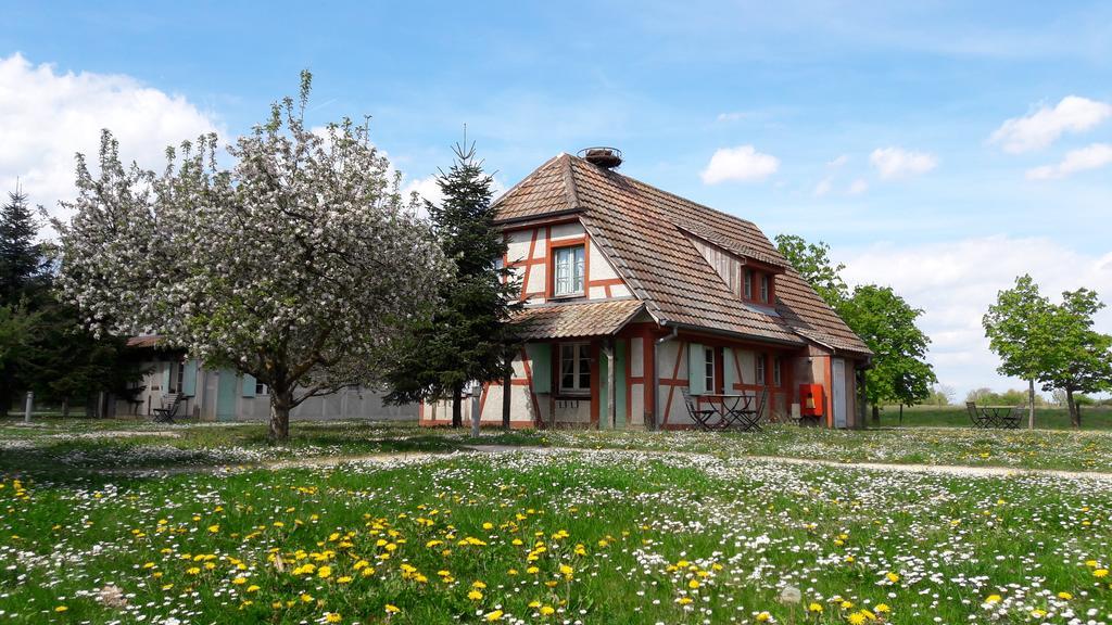 Les Loges De L'Ecomusee D'Alsace 웅게르스하임 외부 사진